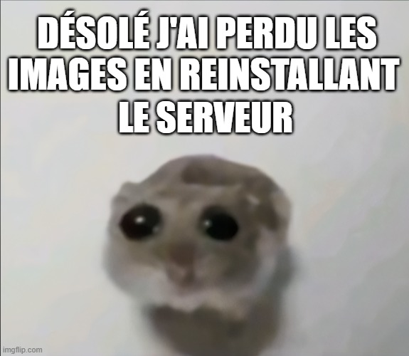 Une image quelconque
