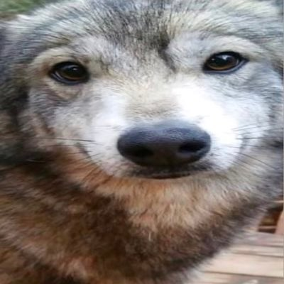 Une image quelconque